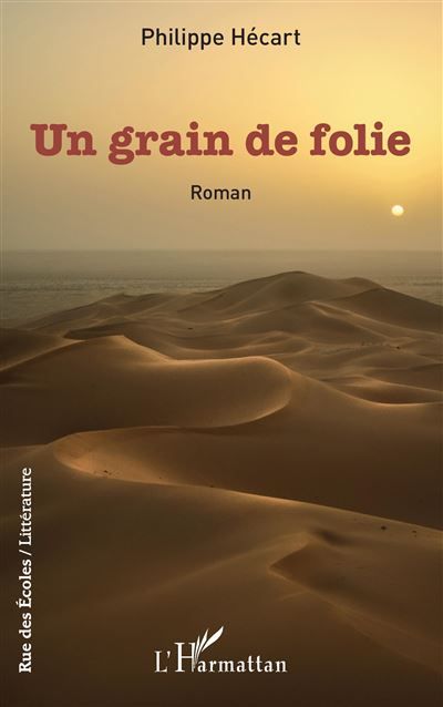 Un grain de folie Roman