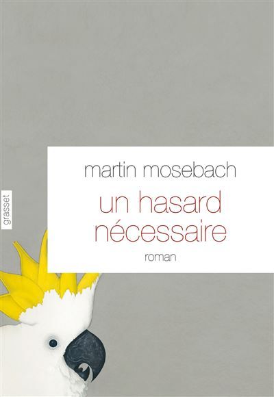 Un hasard nécessaire Roman - traduit de l'allemand par Frédérique Laurent