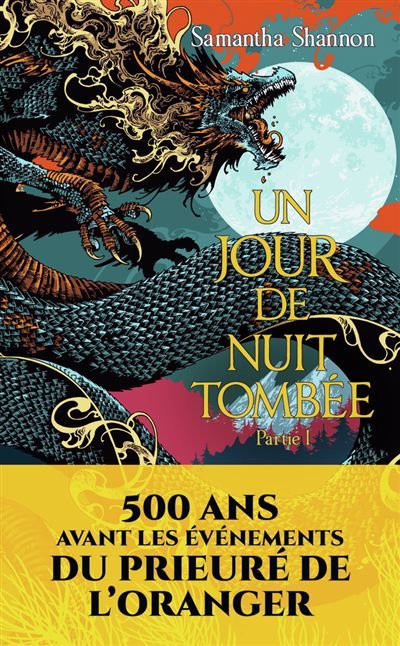 Un jour de nuit tombée Partie I