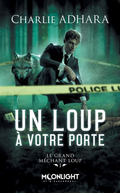 Un loup à votre porte Le grand méchant loup 1