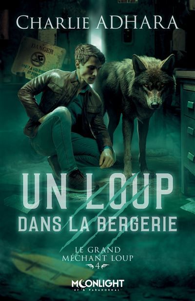 Un loup dans la bergerie Le grand méchant loup 4