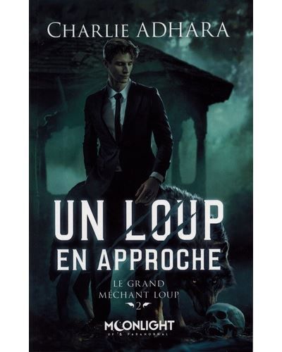 Un loup en approche Le grand méchant loup 2