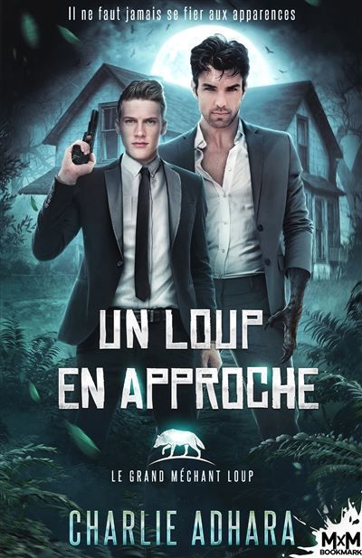 Un loup en approche Le grand méchant loup, T2