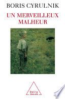 Un merveilleux malheur