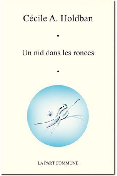 Un Nid Dans Les Ronces.