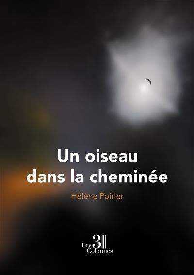 Un oiseau dans la cheminée