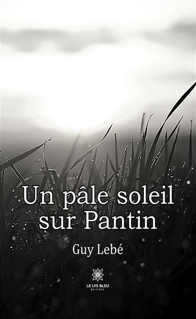 Un pâle soleil sur Pantin
