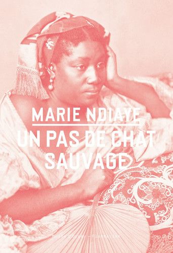 Couverture de Un pas de chat sauvage par Marie NDiaye