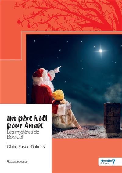 Un père Noël pour Anaïs Les mystères de Bois-Joli