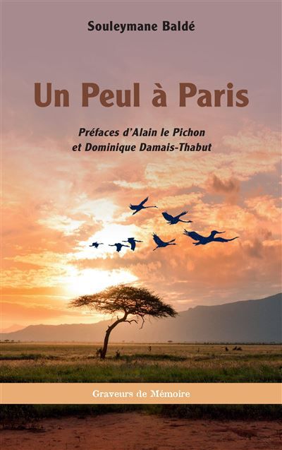 Un Peul à Paris - Dominique Damais-Thabut