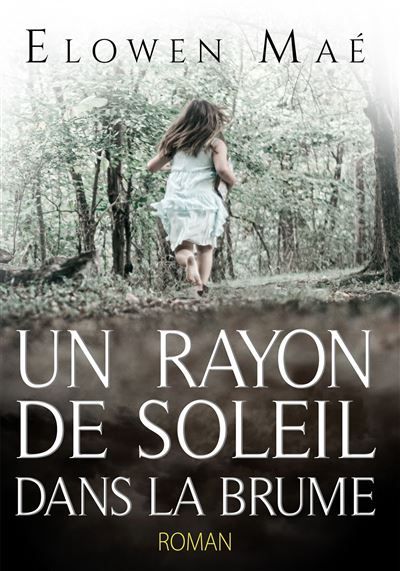 Un rayon de soleil dans la brume