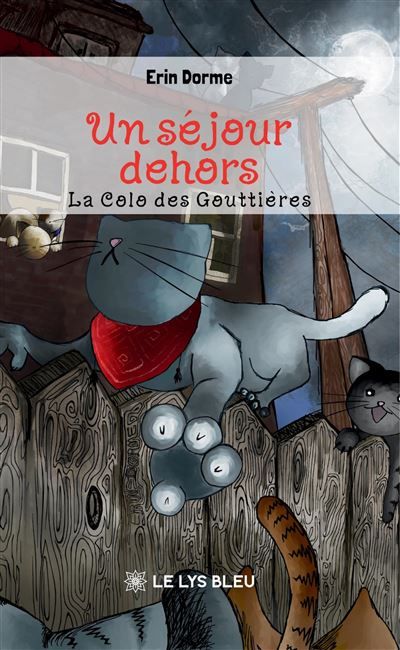 Un séjour dehors La Colo des Gouttières