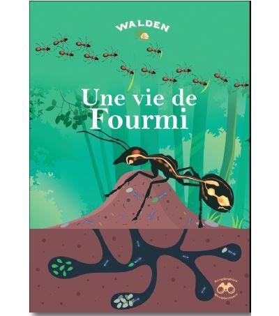 Un travail de fourmi