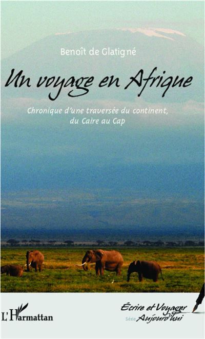 Un voyage en Afrique Chronique d'une traversée du continent, du Caire au Cap
