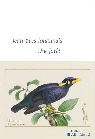 Une forêt Sélection "lectures d'été" de l'Académie Goncourt