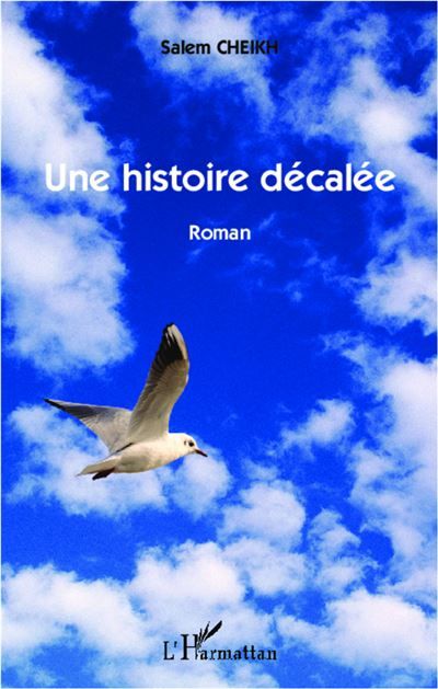 Une histoire décalée Roman