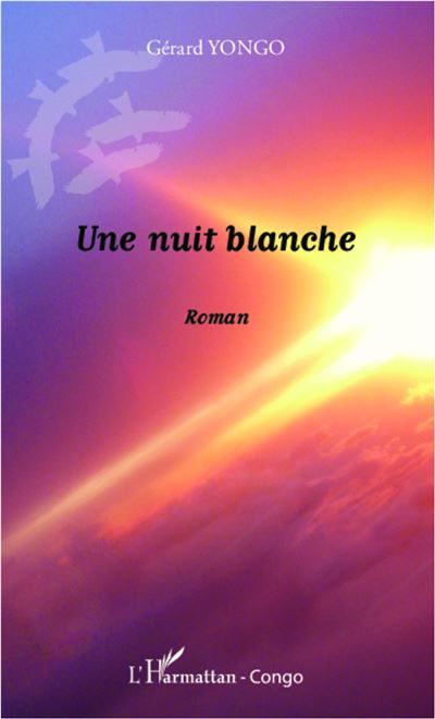 Une nuit blanche Roman