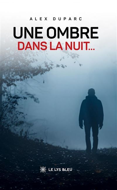 Une ombre dans la nuit...