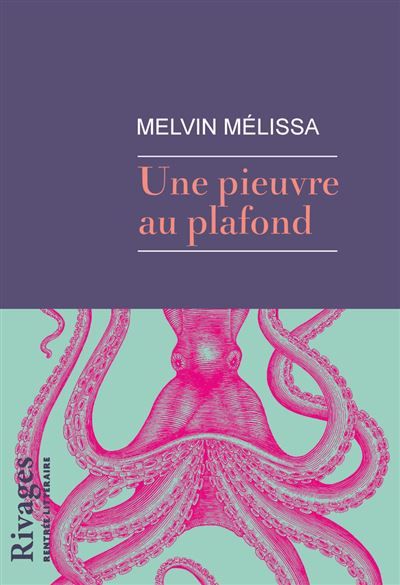 Une pieuvre au plafond
