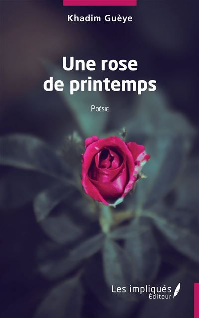 Une rose de printemps