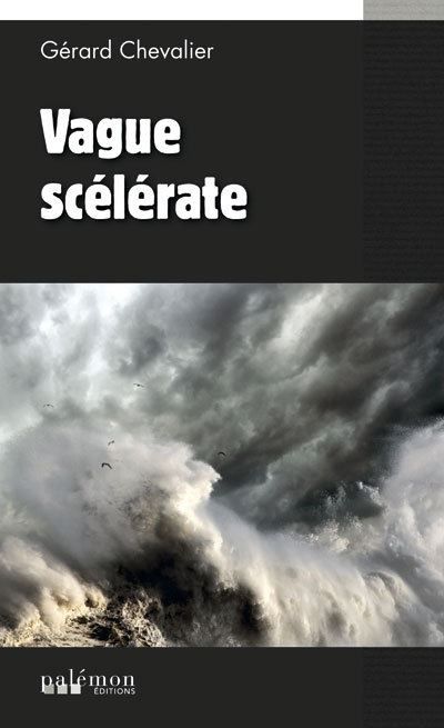 Vague scélérate