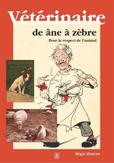 Vétérinaire de âne à zèbre