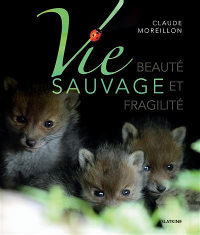 Vie sauvage - beaute et fragilite Beaute et fragilite
