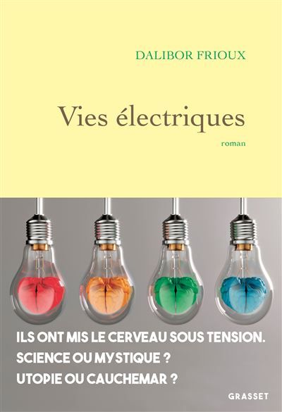 Vies électriques Roman