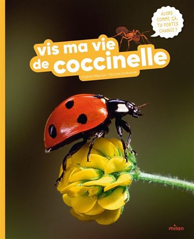 Vis ma vie de coccinelle