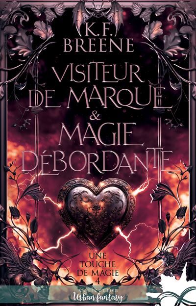 Visiteur de marque & magie débordante Une touche de magie, T4