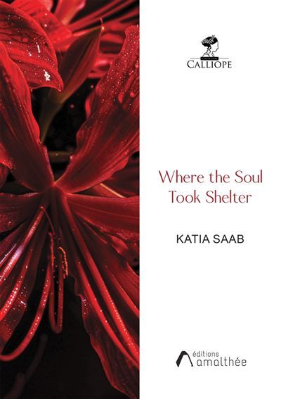 Where the Soul Took Shelter