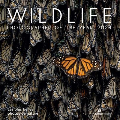 Wildlife Photographer of the Year 2024 Les plus belles photos de nature