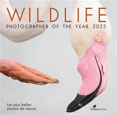 Wildlife Photographer of the Year 2025 Les plus belles photos de nature