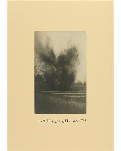 Will Write Soon /anglais Edition bilingue français-anglais