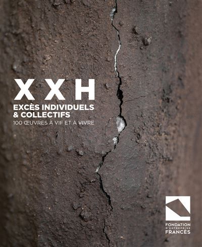 XXH, excès individuels et collectifs - 100 oeuvres à vif et à vivre