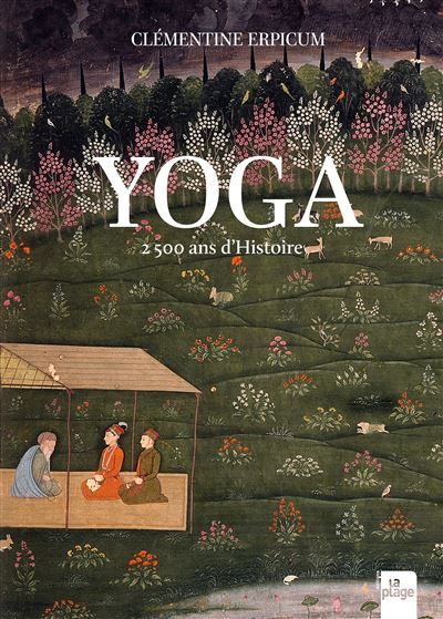 Yoga, 2500 ans d'histoire (nouvelle édition)